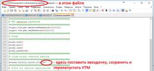 Убедитесь что ваш утм настроен на работу с кросс доменными запросами